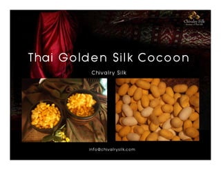 Thai Golden Silk Cocoon
         Chivalry Silk




        info@chivalrysilk.com
 