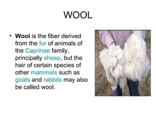 WOOL
• Wool is the fiber derived
from the fur of animals of
the Caprinae family,
principally sheep, but the
hair of certain species of
other mammals such as
goats and rabbits may also
be called wool.
 