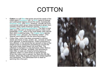 COTTON
• Cotton is a soft fiber that grows around the seeds of the
cotton plant (Gossypium sp.), a shrub native to tropical
and subtropical regions around the world, including the
Americas, India, and Africa. However, virtually all of the
commercial cotton grown today worldwide is grown from
varieties of the native American species Gossypium
hirsutum and Gossypium barbadense. The fiber is most
often spun into yarn or thread and used to make a soft,
breathable textile, which is the most widely used natural-
fiber cloth in clothing today. The English name derives
from the Arabic (al) qutn ‫ط,ن‬ْ‫,ن‬ ‫ق‬ُ, meaning "cotton". (The
Spanish word algodón has the same etymology.)
• Cotton fiber, once it has been processed to remove
seeds and traces of wax, protein, etc., consists of nearly
pure cellulose, a natural polymer. Cotton production is
very efficient, in the sense that ten percent or less of the
weight is lost in subsequent processing to convert the
raw cotton bolls (seed cases) into pure fiber. The
cellulose is arranged in a way that gives cotton fibers a
high degree of strength, durability, and absorbency.
Each fiber is made up of twenty to thirty layers of
cellulose coiled in a neat series of natural springs.
When the cotton boll is opened, the fibers dry into flat,
twisted, ribbon-like shapes and become kinked together
and interlocked. This interlocked form is ideal for
spinning into a fine yarn.
•
 