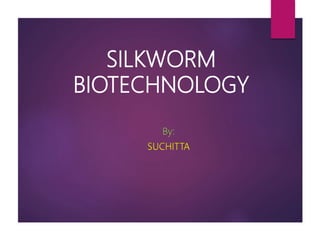 SILKWORM
BIOTECHNOLOGY
By:
SUCHITTA
 