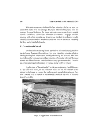 106 SILKWORM REARING TECHNOLOGY
When the worms are infected before spinning, the larvae spin co-
coons but moths will not emerge. In pupal infection the pupae will not
emerge. In pupal infection the pupae slow down their reaction to outside
stimuli. The thorax shrinks and abdomen is wrinkled. The pupa hardens,
covered with white conidia and dries to one third of its ordinary weight.
These cocoons sound like dried cocoons when shaken. In moths also body
hardens and wings fall of easily.
C. Prevention of Control
Disinfection of rearing room, appliances and surrounding must be
carried using 2 per cent formalin or 5 per cent bleaching powder solution.
During rearing low temperature and high humidity are avoided. The rear-
ing bed must be kept dry to avoid germination of conidia. Infected/diseased
worms are identified and removed before they get mummified. The dis-
eased larvae are put in lime jars or burned along with bed refuse.
Application of formalin chaff at 0.4 per cent during I and II instars
0.5 per cent in III instar, 0.6 per cent in IV instar and 0.8 per cent in V instar
should be followed to control the outbreak and spread of the disease. Fur-
ther Dithane M45 or captan or Reshamkeet Oushadh are used at required
dose (Fig. 6.18).
Fig. 6.18. Application of formalin chaff
 