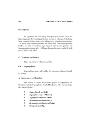 108 SILKWORM REARING TECHNOLOGY
B. Symptoms
No symptoms are seen during early period of disease. But at the
later stages dark brown irregular lesions appear on all sides of the body.
Some times the lesions gather to form large spots with clear circumstance.
The laevae show vomiting, diarrhea and finally dies. Then the body slowly
hardens and after two or three days, mycelin appear from spiracles and
intersegmental regions.After 10-15 days the mucelia are covered with fresh
green conidia (Fig. 6.17)
C. Prevention and Control
These are similar to white muscardine.
6.5.3. Aspergillosis
Young silkworms are affected by this pathogram when the humid-
ity is high.
A. Causal Agent and Infection
The disease is caused by different species of Aspergillus and
Sterigmatocytis belonging to the family Moniliaceae. The important spe-
cies are as follows :-
1. Aspergillus flavus (link)
2. Aspergillus oryzae (Whemer)
3. Aspergillus ochraceus (Wilm)
4. Sterigmatocystis fulva (Saccl)
5. Sterigmatocystis japonica (Aoka)
6. Sterigmatocystis Sp.
 