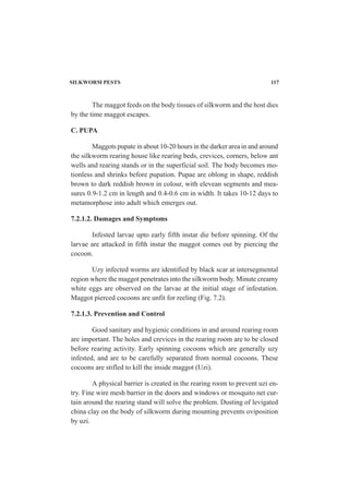 SILKWORM PESTS 117
The maggot feeds on the body tissues of silkworm and the host dies
by the time maggot escapes.
C. PUPA
Maggots pupate in about 10-20 hours in the darker area in and around
the silkworm rearing house like rearing beds, crevices, corners, below ant
wells and rearing stands or in the superficial soil. The body becomes mo-
tionless and shrinks before pupation. Pupae are oblong in shape, reddish
brown to dark reddish brown in colour, with elevean segments and mea-
sures 0.9-1.2 cm in length and 0.4-0.6 cm in width. It takes 10-12 days to
metamorphose into adult which emerges out.
7.2.1.2. Damages and Symptoms
Infested larvae upto early fifth instar die before spinning. Of the
larvae are attacked in fifth instar the maggot comes out by piercing the
cocoon.
Uzy infected worms are identified by black scar at intersegmental
region where the maggot penetrates into the silkworm body. Minute creamy
white eggs are observed on the larvae at the initial stage of infestation.
Maggot pierced cocoons are unfit for reeling (Fig. 7.2).
7.2.1.3. Prevention and Control
Good sanitary and hygienic conditions in and around rearing room
are important. The holes and crevices in the rearing room are to be closed
before rearing activity. Early spinning cocoons which are generally uzy
infested, and are to be carefully separated from normal cocoons. These
cocoons are stifled to kill the inside maggot (Uzi).
A physical barrier is created in the rearing room to prevent uzi en-
try. Fine wire mesh barrier in the doors and windows or mosquito net cur-
tain around the rearing stand will solve the problem. Dusting of levigated
china clay on the body of silkworm during mounting prevents oviposition
by uzi.
 