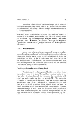 SILKWORM PESTS 119
In chemical control, uzicied containing one per cent of Benozoic
acid is recommended at the dose of 7.8 m.sq.ft. It is effective when applied
within 48 hours of egg laying. Control of uzi fly is effective against use of
2.5% difulubenzuron.
Control of uzi fly through biological means (hyperprasitoids) is better. A
number of parsitoids of uzi fly pest of silkworm have been identified which
are as follows. They are Trichopria sp., Nesolynx thymus, Exoristobeia
philippinensis, Dirhimus himalayanus, Brachymeria lugubris,
Spilomucrus Karnatakensis, Splangia cameroni and Pachycrepoideus
vindimmae.
7.2.2. Dermestid Beetle
Among pests coleopteran insects cause much damage to stored co-
coons. These insects are harmful to silkworm directly sometimes indirectly.
Most of the damage is done by the larvae when cocoons are stifled and
stored for a long time. The pest larvae bores the holes to the cocoons and
the pupae are eaten. Besides this, they also damage animal and plant prod-
ucts including leather, furs, dried fish, carpet, woolen and silk materials.
These beetles belong to family Dermestidae.
7.2.2.1. Life Cycle (Dermested Cadverinus)
The adult insect is oval-elongate and dark brown in colour. It mea-
sures about 1 cm in body length. The adult lives on animal matter for one
year after oviposition. Generally the pest passes the winter in the adult
stage, and begins mating and starts egg laying in May. After mating the
female beetel moves around in dark places in the cocoon storage room and
deposits eggs in the crevises. Each adult lays 50-400 eggs. The eggs hatch
in a week. The grubs are spinkle shaped, reddish brown in colour. The
insect prefers to be in dark places. Grub moult 5-7 times in about 1-2 months
and attains a length of about 1.5 cm. the body of the grub is covered with
hair. Then grub becomes pupa. The adult after emergence mates and lays
eggs which develop to become the adults of second generation (Fig. 7.3).
 
