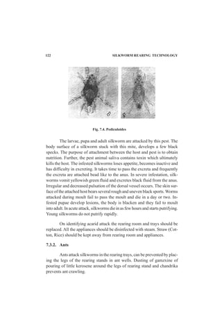 The larvae, pupa and adult silkworm are attacked by this pest. The
body surface of a silkworm stuck with this mite, develops a few black
specks. The purpose of attachment between the host and pest is to obtain
nutrition. Further, the pest animal saliva contains toxin which ultimately
kills the host. The infested silkworms loses appetite, becomes inactive and
has difficulty in excreting. It takes time to pass the excreta and frequently
the excreta are attached bead like to the anus. In severe infestation, silk-
worms vomit yellowish green fluid and excretes black fluid from the anus.
Irregular and decreased pulsation of the dorsal vessel occurs. The skin sur-
face of the attached host bears several rough and uneven black sports. Worms
attacked during moult fail to pass the moult and die in a day or two. In-
fested pupae develop lesions, the body is blacken and they fail to moult
into adult. In acute attack, silkworms die in as few hours and starts putrifying.
Young silkworms do not putrify rapidly.
On identifying acarid attack the rearing room and trays should be
replaced. All the appliances should be disinfected with steam. Straw (Cot-
ton, Rice) should be kept away from rearing room and appliances.
7.3.2. Ants
Ants attack silkworms in the rearing trays, can be prevented by plac-
ing the legs of the rearing stands in ant wells. Dusting of gamzxine of
pouring of little kerosene around the legs of rearing stand and chandrika
prevents ant crawling.
Fig. 7.4. Pediculoides
122 SILKWORM REARING TECHNOLOGY
 