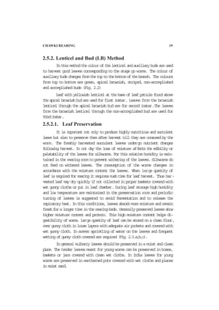 CHAWKI REARING 19
2.5.2. Lenticel and Bud (LB) Method
Inthismethodthecolourofthelenticelandauxiliarybudsareused
to harvest good leaves corresponding to the stage go worms. The colour of
auxiliarybudschangesfromthetoptothebottomofthebranch. The colours
from top to bottom are green, apical brownish, striped, non-accomplished
and accomplished buds (Fig. 2.2)
Leaf with yellowish lenticel at the base of leaf petiole found above
theapicalbrownishbudareusedforfirstinstar. Leaves from the brownish
lenticel through the apical brownish bud are for second instar.The leaves
from the brownish lenticel through the non-accomplished bud are used for
thirdinstar.
2.5.2.1. Leaf Preservation
It is important not only to produce highly nutritious and succulent
leave but also to preserve them after harvest till they are consumed by the
worm. The freshly harvested succulent leaves undergo nutrient changes
following harvest. In not day the loss of moisture affects the edibility or
palatabilityoftheleavesforsilkworms.Forthisrelativehumidityismain-
tained in the rearing room to prevent withering of the leaves. Silkworms do
not feed on withered leaves. The consumption of the worms changes in
accordance with the moisture content the leaves. When large quantity of
leafisrequiredforrearingitrequiresmushtimeforleafharvest. Thus har-
vested leaf may dry quickly if not collected in proper baskets covered with
wet gunny cloths or put in leaf chamber. During leaf storage high humidity
and low temperature are maintained in the preservation room and periodic
turning of leaves is suggested to avoid fermentation and to release the
repiratory heat. In this conditions, leaves absorb more moisture and remain
freshforalongertimeintherearingbeds.Generallypreservedleavesshow
higher moisture content and protein. This high moisture content helps di-
gestibility of worms. Large quantity of leaf can be stored on a clean floor,
overgunnyclothinlooselayerswithadequateairpocketsandcoveredwith
wet gunny cloth. In summer sprinkling of water on the leaves and frequent
wetting of gunny cloth covered are required (Fig. 2.3.a,b,c).
Ingeneralmulberryleavesshouldbepreservedinamoistandclean
place. The tender leaves meant for young worms can be preserved in boxes,
baskets or jars covered with clean wet cloths. In India leaves for young
worms are preserved in eartherned pots covered with wet cloths and places
in moist sand.
 