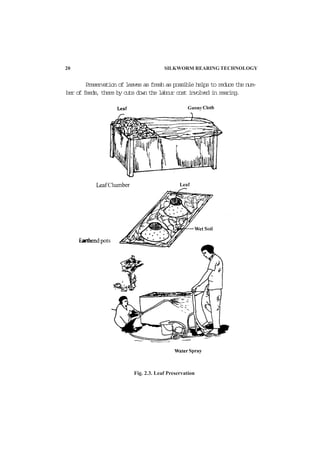 20 SILKWORM REARING TECHNOLOGY
Preservation of leaves as fresh as possible helps to reduce the num-
ber of feeds, there by cuts down the labour cost involved in rearing.
Fig. 2.3. Leaf Preservation
 