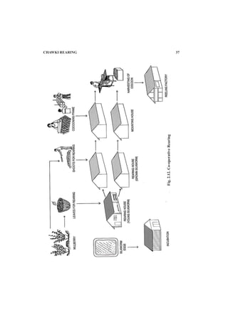 CHAWKI REARING 37
Fig.2.12.Co-operativeRearing
 