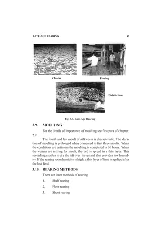 V Instar Feeding
Disinfection
Fig. 3.7. Late Age Rearing
3.9. MOULTING
For the details of importance of moulting see first para of chapter.
2.9.
The fourth and last moult of silkworm is characteristic. The dura-
tion of moulting is prolonged when compared to first three moults. When
the conditions are optimum the moulting is completed in 30 hours. When
the worms are settling for moult, the bed is spread to a thin layer. This
spreading enables to dry the left over leaves and also provides low humid-
ity. If the rearing room humidity is high, a thin layer of lime is applied after
the last feed.
3.10. REARING METHODS
There are three methods of rearing
1. Shelf rearing
2. Floor rearing
3. Shoot rearing
LATE AGE REARING 49
 