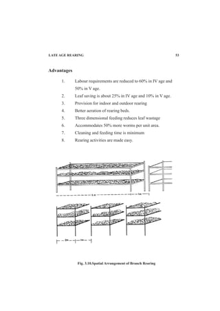 Advantages
1. Labour requirements are reduced to 60% in IV age and
50% in V age.
2. Leaf saving is about 25% in IV age and 10% in V age.
3. Provision for indoor and outdoor rearing
4. Better aeration of rearing beds.
5. Three dimensional feeding reduces leaf wastage
6. Accommodates 50% more worms per unit area.
7. Cleaning and feeding time is minimum
8. Rearing activities are made easy.
Fig. 3.10.Spatial Arrangement of Branch Rearing
LATE AGE REARING 53
 