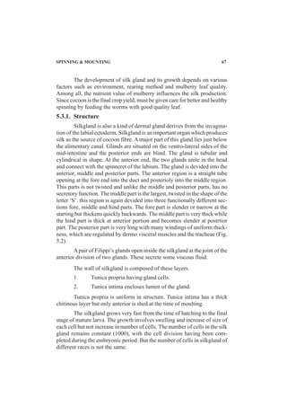 SPINNING & MOUNTING 67
The development of silk gland and its growth depends on various
factors such as environment, rearing method and mulberry leaf quality.
Among all, the nutrient value of mulberry influences the silk production.
Since cocoon is the final crop yield, must be given care for better and healthy
spinning by feeding the worms with good quality leaf.
5.3.1. Structure
Silkgland is also a kind of dermal gland derives from the invagina-
tion of the labial ectoderm. Silkgland is an important organ which produces
silk as the source of cocoon fibre. A major part of this gland lies just below
the alimentary canal. Glands are situated on the ventro-lateral sides of the
mid-intestine and the posterior ends are blind. The gland is tubular and
cylindrical in shape. At the anterior end, the two glands unite in the head
and connect with the spinneret of the labium. The gland is devided into the
anterior, middle and posterior parts. The anterior region is a straight tube
opening at the fore end into the duct and posterioly into the middle region.
This parts is not twisted and unlike the middle and posterior parts, has no
secretory function. The middle part is the largest, twisted in the shape of the
letter ‘S’. this region is again devided into three functionally different sec-
tions fore, middle and hind parts. The fore part is slender or narrow at the
starting but thickens quickly backwards. The middle part is very thick while
the hind part is thick at anterior portion and becomes slender at postrtior
part. The posterior part is very long with many windings of uniform thick-
ness, which are regulated by dermo visceral muscles and the tracheae (Fig.
5.2).
Apair of Filippi’s glands open inside the silkgland at the joint of the
anterior division of two glands. These secrete some viscous fluid.
The wall of silkgland is composed of these layers.
1. Tunica propria having gland cells.
2. Tunica intima encloses lumen of the gland.
Tunica propria is uniform in structure. Tunica intima has a thick
chitinous layer but only anterior is shed at the time of moulting.
The silkgland grows very fast from the time of hatching to the final
stage of mature larva. The growth involves swelling and increase of size of
each cell but not increase in number of cells. The number of cells in the silk
gland remains constant (1000), with the cell division having been com-
pleted during the embryonic period. But the number of cells in silkgland of
different races is not the same.
 
