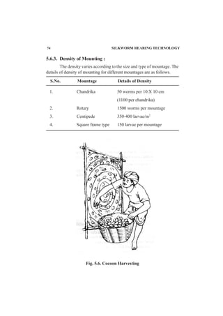 5.6.3. Density of Mounting :
The density varies according to the size and type of mountage. The
details of density of mounting for different mountages are as follows.
Fig. 5.6. Cocoon Harvesting
S.No. Mountage Details of Density
1. Chandrika 50 worms per 10 X 10 cm
(1100 per chandrika)
2. Rotary 1500 worms per mountage
3. Centipede 350-400 larvae/m2
4. Square frame type 150 larvae per mountage
74 SILKWORM REARING TECHNOLOGY
 