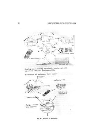 82 SILKWORM REARING TECHNOLOGY
Fig. 6.1. Sources of infections
 
