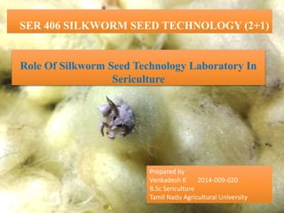 Maintenance of labour and
records in grainage
SER 406 SILKWORM SEED TECHNOLOGY (2+1)
Prepared by
Venkadesh K 2014-009-020
B.Sc Sericulture
Tamil Nadu Agricultural University
Role Of Silkworm Seed Technology Laboratory In
Sericulture
 