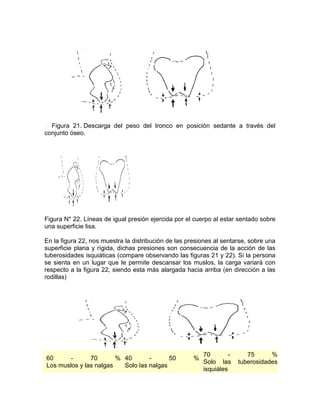 Figura 21. Descarga del peso del tronco en posición sedante a través del
conjunto óseo.




Figura N* 22. Líneas de igual presión ejercida por el cuerpo al estar sentado sobre
una superficie lisa.

En la figura 22, nos muestra la distribución de las presiones al sentarse, sobre una
superficie plana y rígida, dichas presiones son consecuencia de la acción de las
tuberosidades isquiáticas (compare observando las figuras 21 y 22). Si la persona
se sienta en un lugar que le permite descansar los muslos, la carga variará con
respecto a la figura 22, siendo esta más alargada hacia arriba (en dirección a las
rodillas)




                                                          70        -      75      %
60      -      70       % 40       -      50          %
                                                          Solo las      tuberosidades
Los muslos y las nalgas   Solo las nalgas
                                                          isquiáles
 