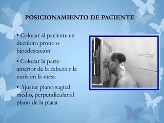 POSICIONAMIENTO DE PACIENTE
• Colocar al paciente en
decúbito prono o
bipedestación
• Colocar la parte
anterior de la cabeza y la
nariz en la mesa
• Ajustar plano sagital
medio, perpendicular al
plano de la placa

 