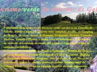 O fenómeno do turismo verde, deixouse sentir con forza no Concello de Silleda, dándose para iso a oferta máis completa posible, co Cámping de Medelo, as casas rurais de Cervaña, Cortegada, Costela, Escuadro, Fiestras, Lamela e Oleiros, e cunha serie de actividades para manter ao visitante concentrado no maior dos praceres: o descanso activo en contacto coa natureza.  O Carreiro da Saleta, Vía da Prata a Santiago, o Camiño do Deza a pé ou en bicicleta, o Camiño Cicloturística Val de Escuadro, Ráfting de Carboeiro, Petanca en Bandeira, Tiro ao Prato, Caza, Pesca ou actividades equinas e caninas dentro do recinto Internacional da Semana Verde, constitúen un paquete turístico do máis engraecido. O turismo   verde   do interior de Galiza 