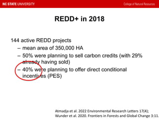 Does it pay off to try harder? REDD+ interventions and impacts | PDF