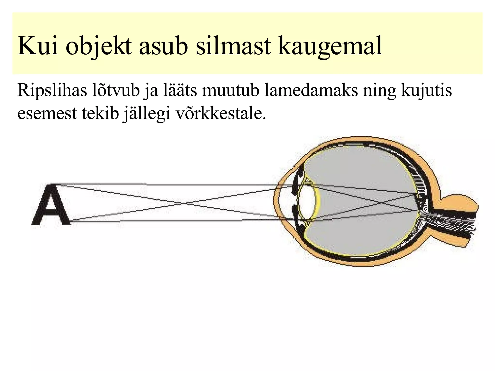 Kui objekt asub silma st   kaugem al   R ipslihas lõtvub ja lääts muutub lamedamaks ning kujutis esemest tekib jällegi võrkkestale .   