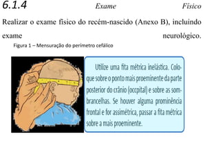 6.1.4 Exame Físico
Realizar o exame físico do recém-nascido (Anexo B), incluindo
exame neurológico.
Figura 1 – Mensuração do perímetro cefálico
 