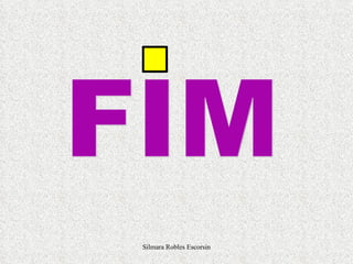 FIM Silmara Robles Escorsin 