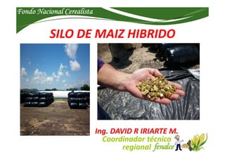 Fondo Nacional CerealistaFondo Nacional CerealistaFondo Nacional CerealistaFondo Nacional Cerealista
SILO DE MAIZ HIBRIDO
...