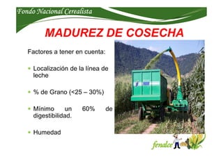 Fondo Nacional CerealistaFondo Nacional CerealistaFondo Nacional CerealistaFondo Nacional Cerealista
Factores a tener en c...