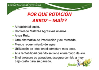 Fondo Nacional CerealistaFondo Nacional CerealistaFondo Nacional CerealistaFondo Nacional Cerealista
POR QUE ROTACIÓN
ARRO...