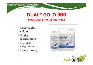 Fondo Nacional CerealistaFondo Nacional CerealistaFondo Nacional CerealistaFondo Nacional Cerealista
DUAL® GOLD 960
MALEZA...