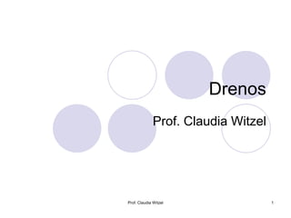 Drenos
Prof. Claudia Witzel
1
Prof. Claudia Witzel
 