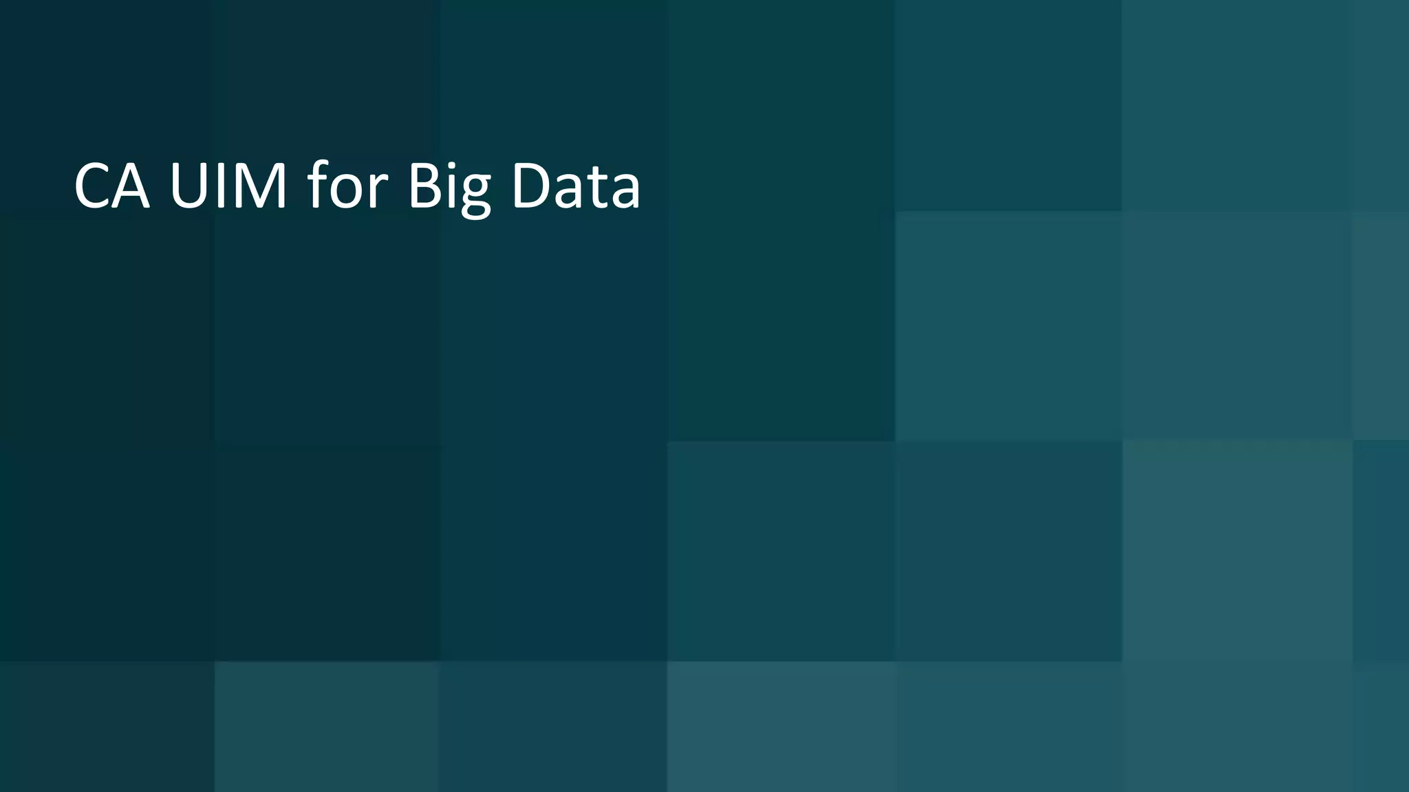 CA UIM for Big Data
 