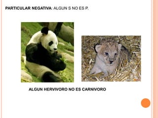 PARTICULAR NEGATIVA: ALGUN S NO ES P.
ALGUN HERVIVORO NO ES CARNIVORO
 