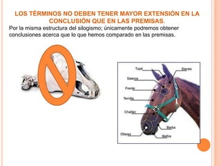 LOS TÉRMINOS NO DEBEN TENER MAYOR EXTENSIÓN EN LA
CONCLUSIÓN QUE EN LAS PREMISAS.
Por la misma estructura del silogismo; únicamente podremos obtener
conclusiones acerca que lo que hemos comparado en las premisas.
 