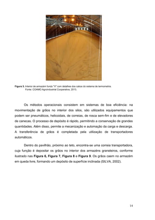 14 
Figura 5. Interior de armazém fundo "V" com detalhes dos cabos do sistema de termometria. 
Fonte: COAMO Agroindustrial Cooperativa, 2013. 
Os métodos operacionais consistem em sistemas de boa eficiência: na movimentação de grãos no interior dos silos, são utilizados equipamentos que podem ser pneumáticos, helicoidais, de correias, de rosca sem-fim e de elevadores de canecas. O processo de depósito é rápido, permitindo a conservação de grandes quantidades. Além disso, permite a mecanização e automação da carga e descarga. A transferência de grãos é completada pela utilização de transportadores automáticos. 
Dentro do pavilhão, próximo ao teto, encontra-se uma correia transportadora, cuja função é depositar os grãos no interior dos armazéns graneleiros, conforme ilustrado nas Figura 6, Figura 7, Figura 8 e Figura 9. Os grãos caem no armazém em queda livre, formando um depósito de superfície inclinada (SILVA, 2002). 
 