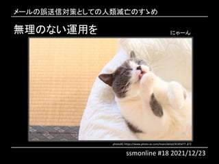 無理のない運用を
photoAC https://www.photo-ac.com/main/detail/4145477 より
にゃーん
メールの誤送信対策としての人類滅亡のすゝめ
ssmonline #18 2021/12/23
 