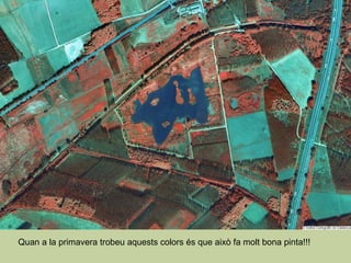 Quan a la primavera trobeu aquests colors és que això fa molt bona pinta!!! 