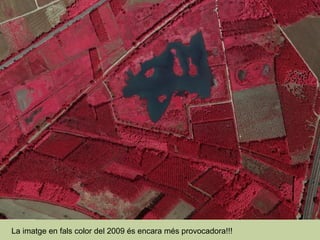 La imatge en fals color del 2009 és encara més provocadora!!! 