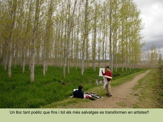 Un lloc tant poètic que fins i tot els més salvatges es transformen en artistes!! 