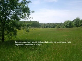 I desprès podrem gaudir dels prats humits de terra baixa més impressionants de Catalunya 