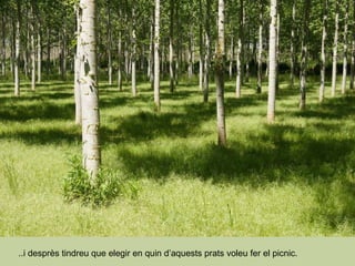 ..i desprès tindreu que elegir en quin d’aquests prats voleu fer el picnic.  