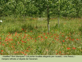 ..roselles? flors blanques? Cal portar tovalles elegants per l’ocasió, i vins frescs, i menjars refinats a l’alçada de l’escenari. 