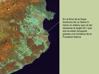 En el fons de la fossa tectònica de La Selva hi havia un estany que va ser dessecat al segle XX i que ara ha estat recuperat gràcies a la iniciativa de la Fundació Natura 