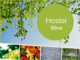 Hostel
Silva
 