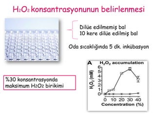 Bu çalışmada;Bu baldaki bakterisidal faktörler Balın bakterisidal aktivitesine katkıları araştırılmış.