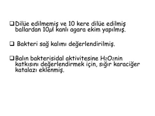 İşlenmemiş Revamil   balı- BfactoryHealthProducts (Rhenen, TheNetherlands).