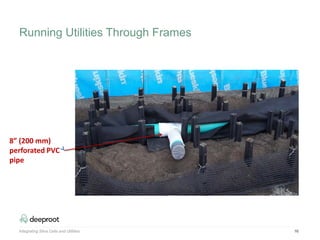 16Integrating Silva Cells and Utilities
8” (200 mm)
perforated PVC
pipe
Running Utilities Through Frames
 