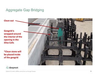 Options for when utilities cannot be run through frames 19
Clean out
Geogrid is
wrapped around
the interior of the
opening in the
Silva Cells
*Clean stone will
be placed inside
of the geogrid
Aggregate Gap Bridging
 