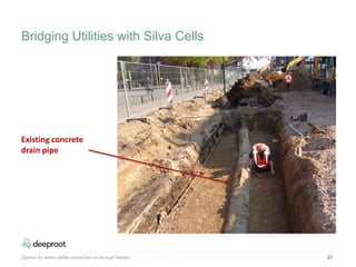 23
Existing concrete
drain pipe
Bridging Utilities with Silva Cells
Options for when utilities cannot be run through frames
 