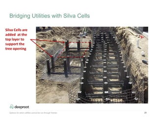 29
Silva Cells are
added at the
top layer to
support the
tree opening
Bridging Utilities with Silva Cells
Options for when utilities cannot be run through frames
 