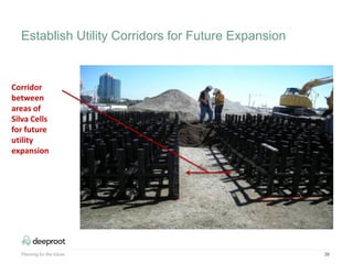 Planning for the future 39
Corridor
between
areas of
Silva Cells
for future
utility
expansion
Establish Utility Corridors for Future Expansion
 